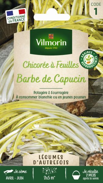 Potagères - Chicorée à Feuilles Sauvage Amère Barbe de Capucin - Légumes d'Autrefois - PACKAGING_RECTO